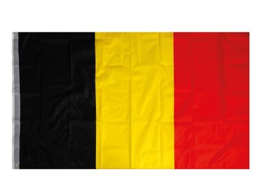 VLAG - BELGIË (WU90300)